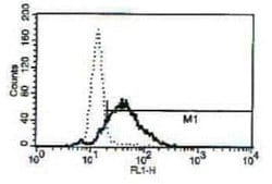 LL-37 Mouse anti-Human, Clone: B-T37, Novus Biologicals 200 &mu;g; Unconjugated:Antibodies,